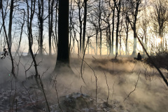 FimproduktionNebel